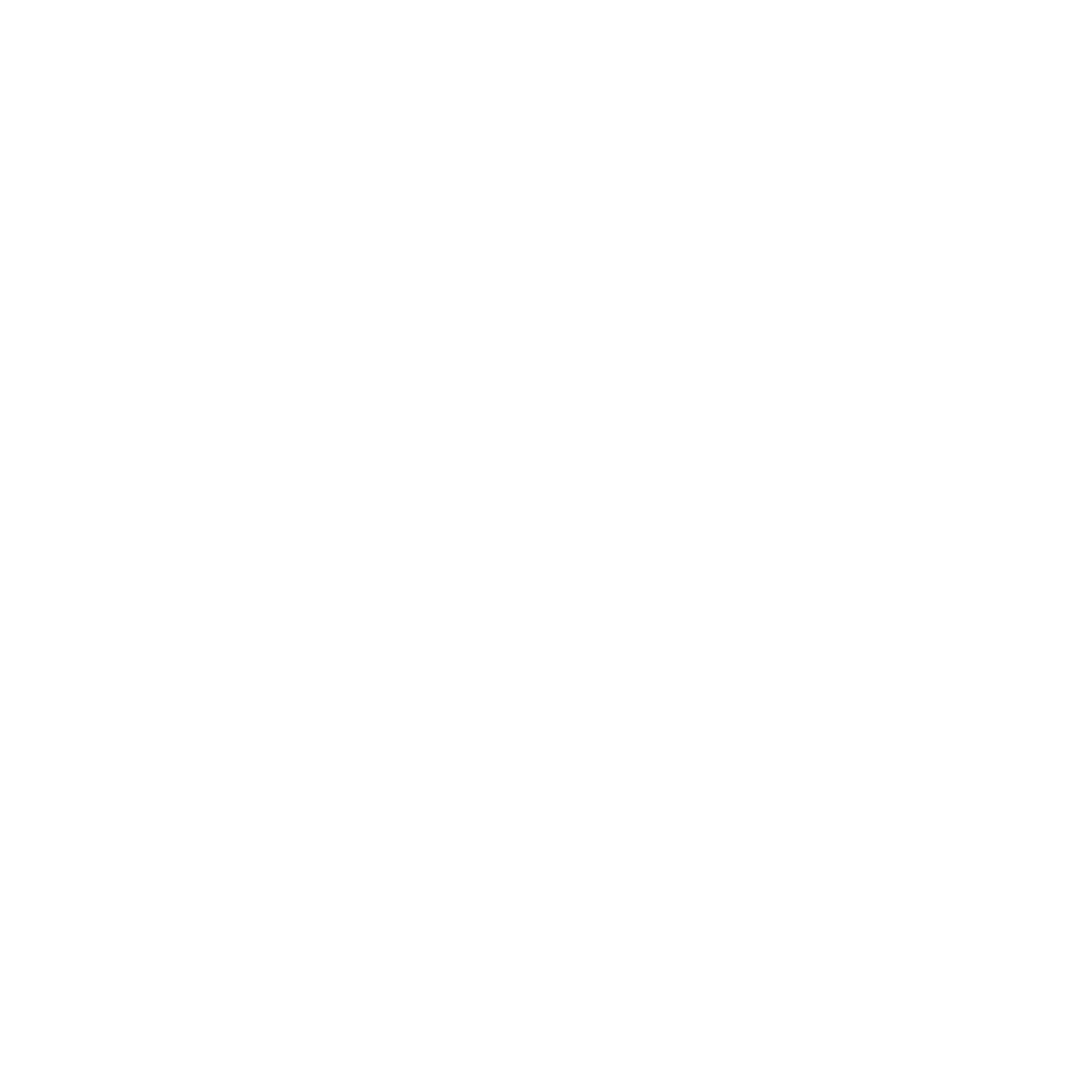 logo-white-viag2e